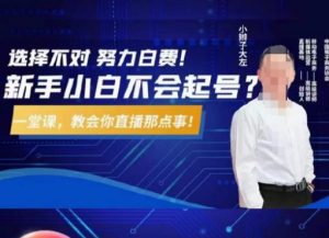 大左教您从0到1做直播带货,选择不对,努力白费,5小时课程搞定那点事,解决你起号问题-铭创资源库