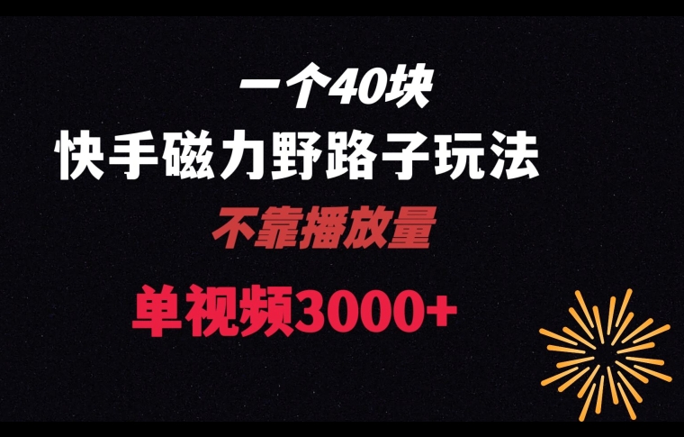 一个40块，快手联合美团磁力新玩法，无视机制野路子玩法，单视频收益4位数【揭秘】-铭创资源库