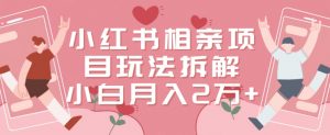小红书相亲项目玩法拆解，有人通过这个副业项目做到了月收入2万多【揭秘】-铭创资源库