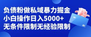 负债粉私域暴力掘金，小白操作入5000，无经验限制，无条件限制【揭秘】-铭创资源库