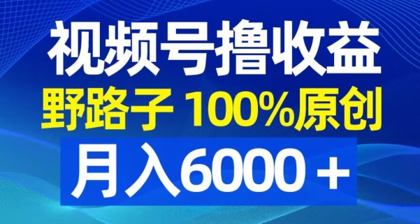 视频号野路子撸收益，100%原创，条条爆款，月入6000＋【揭秘】-铭创资源库