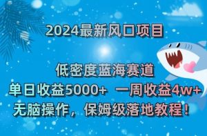 2024最新风口项目，低密度蓝海赛道，单日收益5000+，一周收益4w+！【揭秘】-铭创资源库