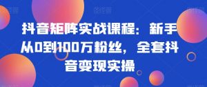 抖音矩阵实战课程:新手从0到100万粉丝,全套抖音变现实操-铭创资源库