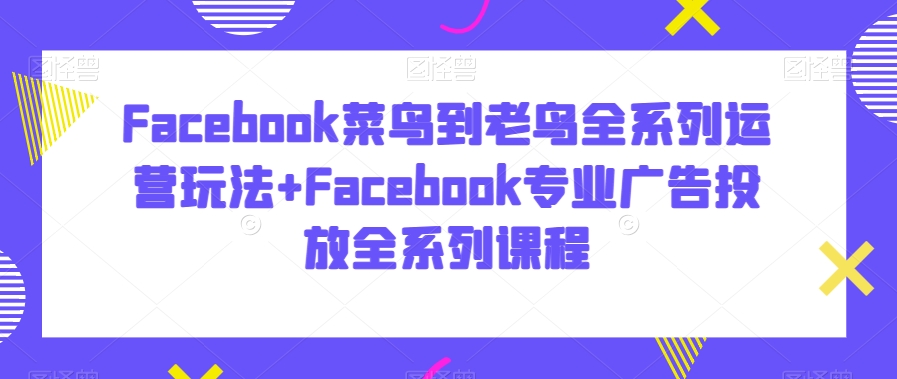 Facebook菜鸟到老鸟全系列运营玩法+Facebook专业广告投放全系列课程-铭创资源库