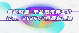 臻曦联盟-单品微付费正价起号，2024年1月最新课程-铭创资源库
