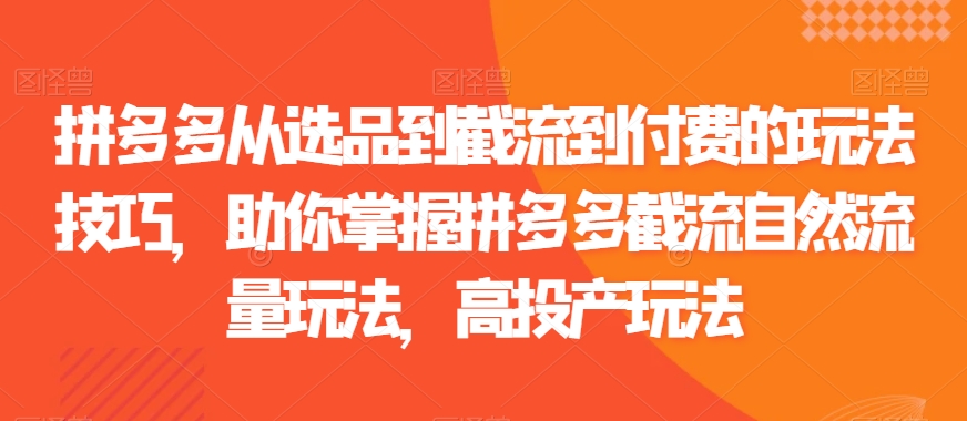 拼多多从选品到截流到付费的玩法技巧，助你掌握拼多多截流自然流量玩法，高投产玩法-铭创资源库