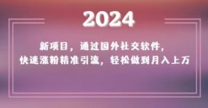 2024新项目,通过国外社交软件,快速涨粉精准引流,轻松做到月入上万【揭秘】-铭创资源库