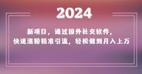 2024新项目，通过国外社交软件，快速涨粉精准引流，轻松做到月入上万【揭秘】-铭创资源库