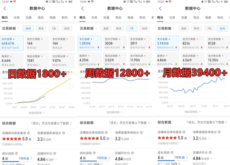 拼多多虚拟电商训练营月入30000+你也行，暴利稳定长久，副业首选-铭创资源库