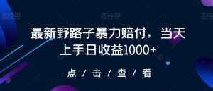 最新野路子暴力赔付,当天上手日收益1000+【仅揭秘】-铭创资源库