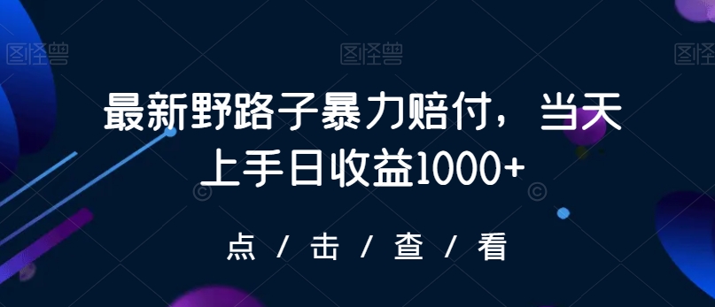 最新野路子暴力赔付，当天上手日收益1000+【仅揭秘】-铭创资源库