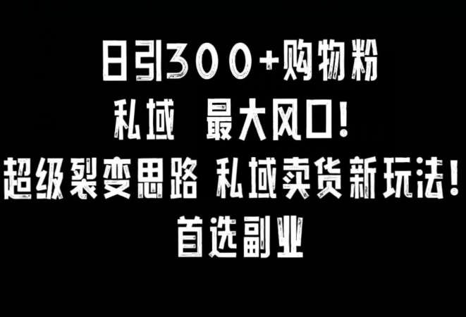 日引300+购物粉，超级裂变思路，私域卖货新玩法，小红书首选副业【揭秘】-铭创资源库