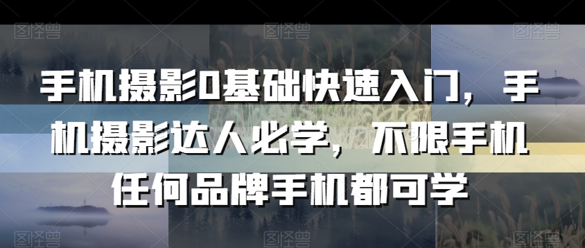 手机摄影0基础快速入门，手机摄影达人必学，不限手机任何品牌手机都可学-铭创资源库