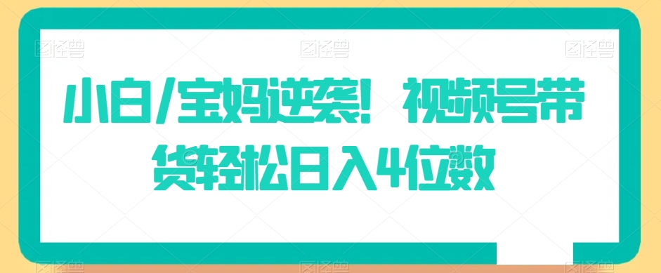 小白/宝妈逆袭！视频号带货轻松日入4位数【揭秘】-铭创资源库