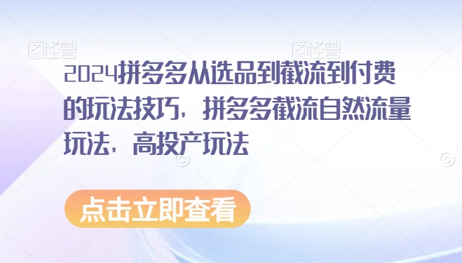2024拼多多从选品到截流到付费的玩法技巧，拼多多截流自然流量玩法，高投产玩法-铭创资源库