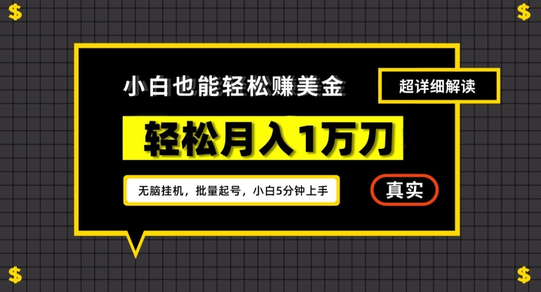 谷歌看广告撸美金2.0，无脑挂机，多号操作，月入1万刀【揭秘】-铭创资源库