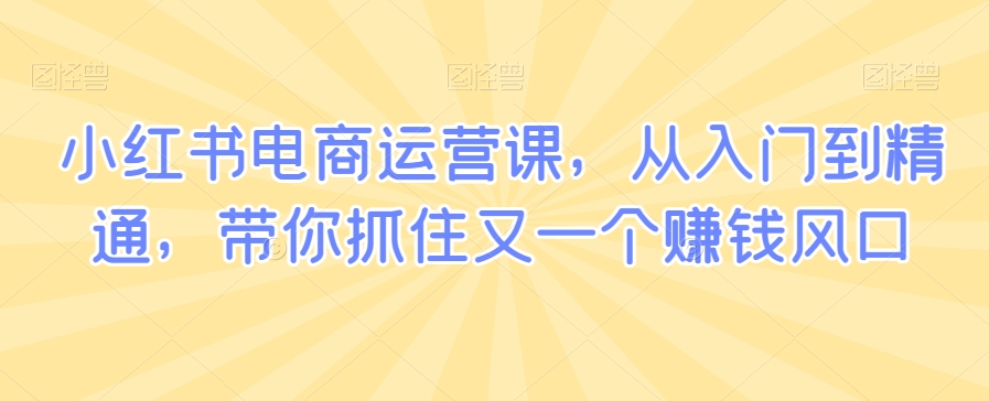 小红书电商运营课，从入门到精通，带你抓住又一个赚钱风口-铭创资源库