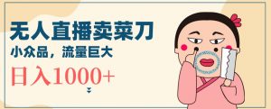 无人冷门品直播新玩法,通过卖菜刀日入1000+【揭秘】-铭创资源库