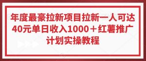 年度最豪拉新项目拉新一人可达40元单日收入1000＋红薯推广计划实操教程【揭秘】-铭创资源库