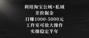 利用淘宝公域+私域差价掘金，日赚1000-5000元，工作室可放大操作，实操稳定半年【揭秘】-铭创资源库