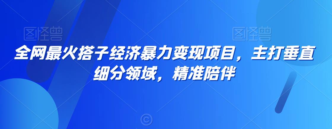 全网最火搭子经济暴力变现项目，主打垂直细分领域，精准陪伴【揭秘】-铭创资源库