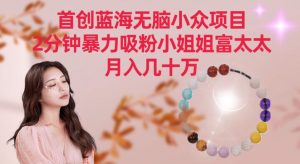 首创蓝海无脑小众项目，2分钟暴力吸粉小姐姐富太太，月入几十万【揭秘】-铭创资源库