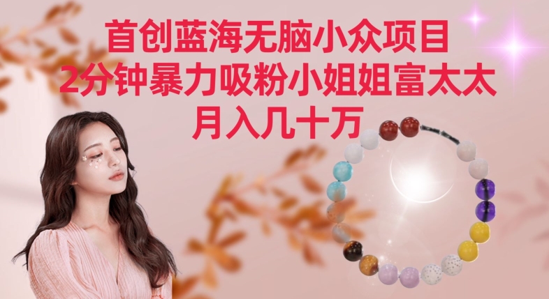 首创蓝海无脑小众项目，2分钟暴力吸粉小姐姐富太太，月入几十万【揭秘】-铭创资源库