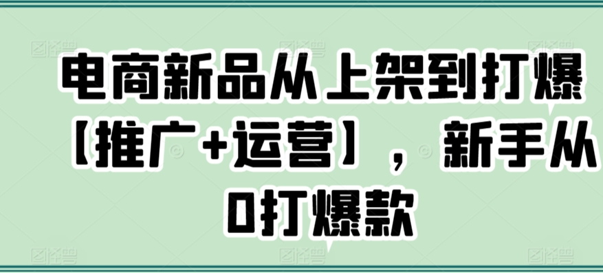 电商新品从上架到打爆【推广+运营】，新手从0打爆款-铭创资源库