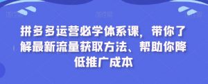 拼多多运营必学体系课，带你了解最新流量获取方法、帮助你降低推广成本-铭创资源库