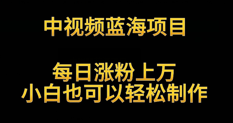 中视频蓝海项目，解读英雄人物生平，每日涨粉上万，小白也可以轻松制作，月入过万不是梦【揭秘】-铭创资源库