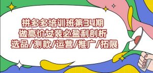 拼多多培训班第34期：做高价女装必盈利剖析选品/测款/运营/推广/拓展-铭创资源库
