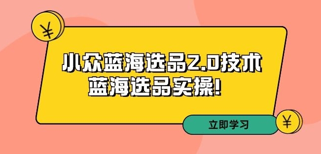 拼多多培训第33期：小众蓝海选品2.0技术-蓝海选品实操！-铭创资源库