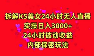 利用快手24小时无人美女直播，实操日入3000，24小时被动收益，内部保密玩法【揭秘】-铭创资源库