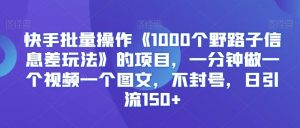 快手批量操作《1000个野路子信息差玩法》的项目，一分钟做一个视频一个图文，不封号，日引流150+【揭秘】-铭创资源库