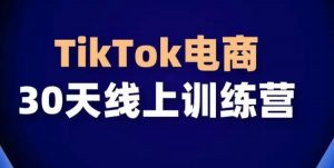 TikTok电商带货30天线上课，不可错过的全球流量洼地！-铭创资源库