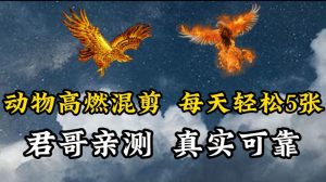 动物超燃混剪,每天轻松5张,剪辑简单大家爱看【揭秘】-铭创资源库