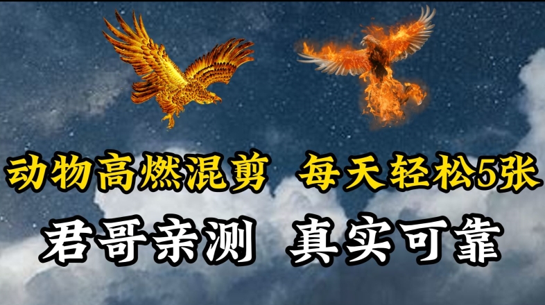 动物超燃混剪，每天轻松5张，剪辑简单大家爱看【揭秘】-铭创资源库