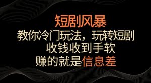 短剧风暴，教你冷门玩法，玩转短剧，收钱收到手软【揭秘】-铭创资源库