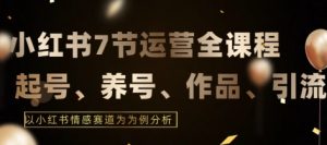7节小红书运营实战全教程,结合最新情感赛道,打通小红书运营全流程【揭秘】-铭创资源库