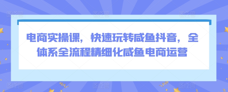 电商实操课，快速玩转咸鱼抖音，全体系全流程精细化咸鱼电商运营-铭创资源库