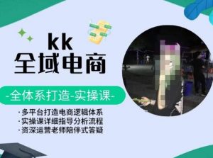 KK全域电商，全体系打造实操课，多平台打造电商逻辑体系-铭创资源库