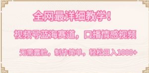 全网最详细教学，视频号蓝海赛道，口播情感视频，无需露脸，制作简单，轻松实现日入1000+【揭秘】-铭创资源库