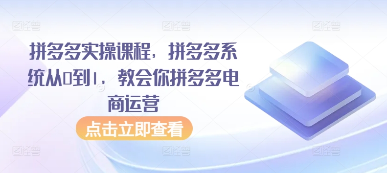 拼多多实操课程，拼多多系统从0到1，教会你拼多多电商运营-铭创资源库