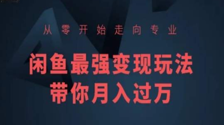 从零开始走向专业，闲鱼最强变现玩法带你月入过万-铭创资源库
