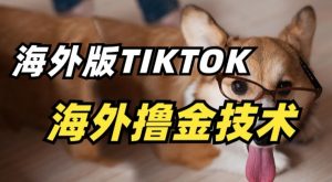 抖音海外版tiktok撸金技术,这个风口行业,赚钱真的不难【揭秘】-铭创资源库