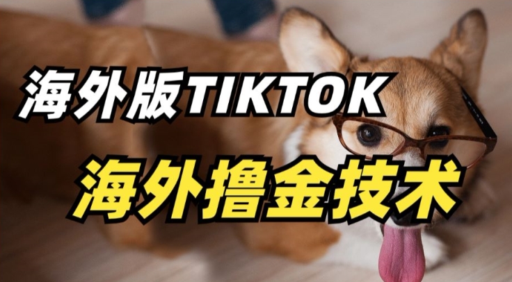 抖音海外版tiktok撸金技术，这个风口行业，赚钱真的不难【揭秘】-铭创资源库