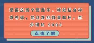 掌握这两个野路子,特效结合神奇布偶,能让粉丝数量飙升,至少增长 5000【揭秘】-铭创资源库