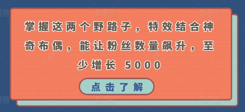 掌握这两个野路子，特效结合神奇布偶，能让粉丝数量飙升，至少增长 5000【揭秘】-铭创资源库