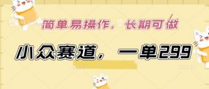 小众赛道,一单299.简单易操作,长期可做【揭秘】-铭创资源库