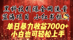 蓝海项目!黑科技引爆全网流量小红书拉新,单日暴力收益7000+,小白也能轻松上手【揭秘】-铭创资源库